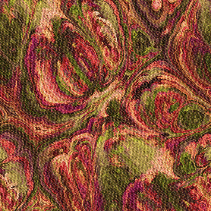 Machine Washable Transitional Tomato Red Rug, wshpat2941org