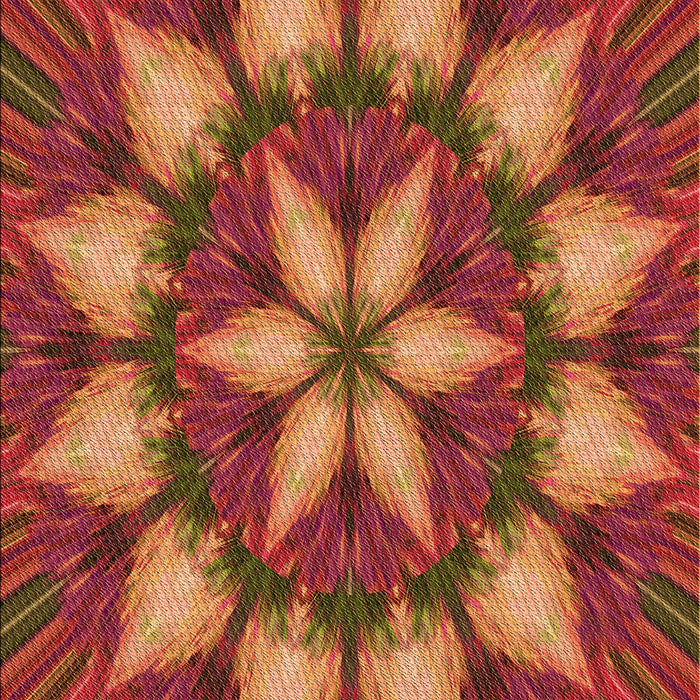 Patterned Orange Rug, pat2942org