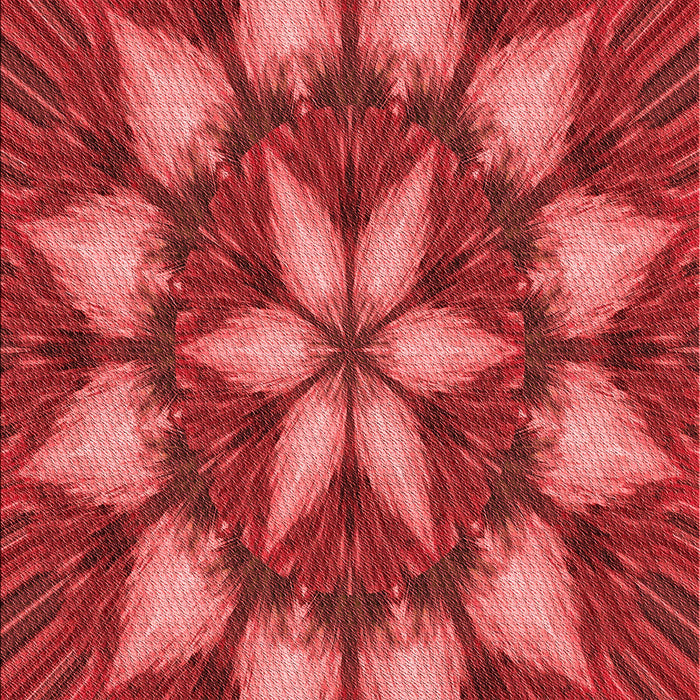 Machine Washable Transitional Red Rug, wshpat2942rd