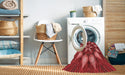 Machine Washable Transitional Red Rug in a Washing Machine, wshpat2942rd