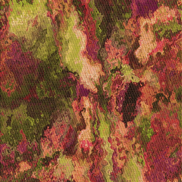 Machine Washable Transitional Tomato Red Rug, wshpat2943org