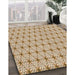 Patterned Khaki Gold Rug in Family Room, pat2946brn