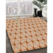 Patterned Khaki Gold Rug in Family Room, pat2946org