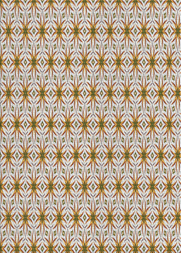 Machine Washable Transitional Sienna Brown Rug, wshpat2946