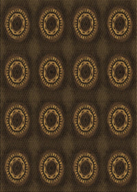 Machine Washable Transitional Dark Bronze Brown Rug, wshpat2949brn