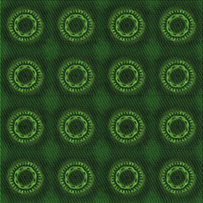 Round Machine Washable Transitional Green Rug, wshpat2949grn