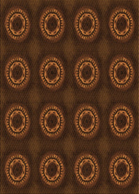 Machine Washable Transitional Mahogany Brown Rug, wshpat2949org