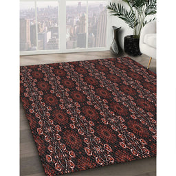 Patterned Chestnut Brown Novelty Rug in Family Room, pat294