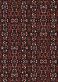 Machine Washable Transitional Chestnut Brown Rug, wshpat294