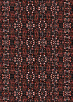 Machine Washable Transitional Chestnut Brown Rug, wshpat294