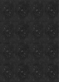 Machine Washable Transitional Black Rug, wshpat2950gry