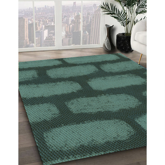 Patterned Sea Green Rug in Family Room, pat2955lblu