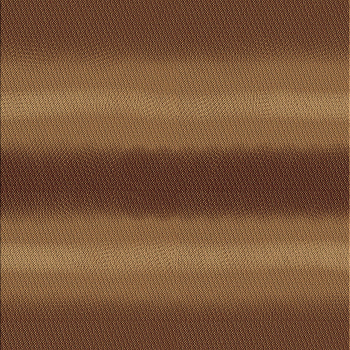 Machine Washable Transitional Dark Bisque Brown Rug, wshpat2956brn