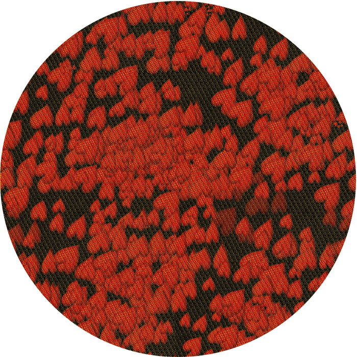 Square Machine Washable Transitional Saffron Red Rug in a Living Room, wshpat2958yw