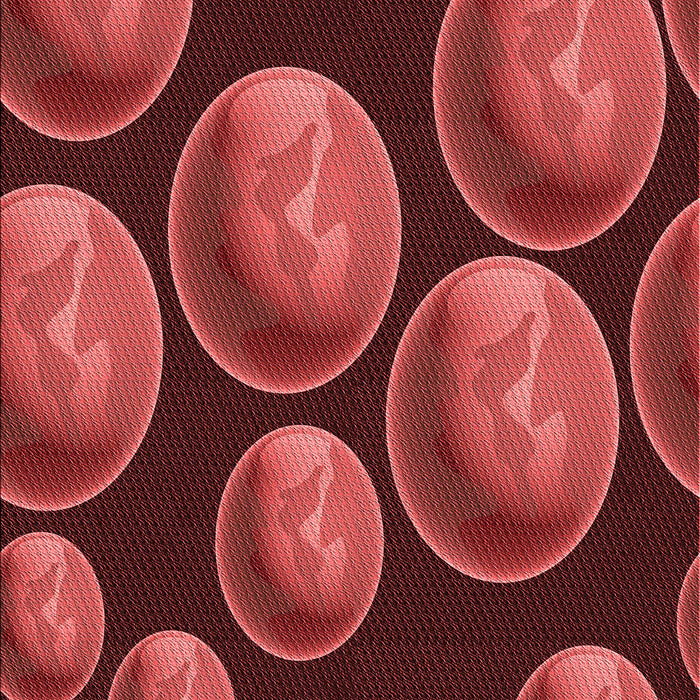 Machine Washable Transitional Red Rug, wshpat2963rd