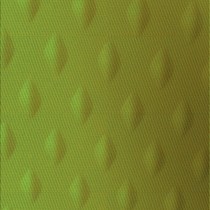 Machine Washable Transitional Pistachio Green Rug, wshpat297grn