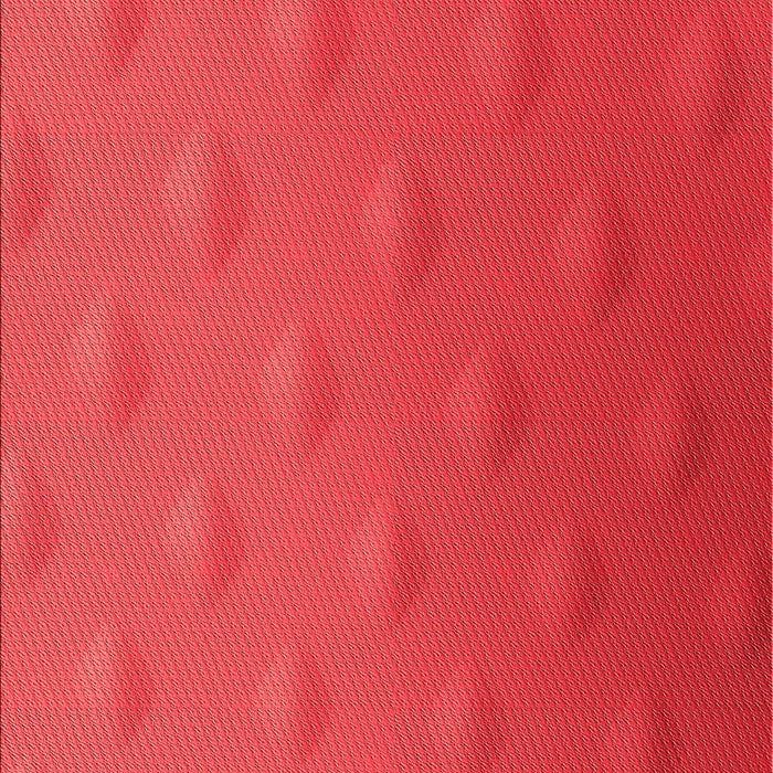 Machine Washable Transitional Red Rug, wshpat297rd