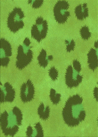 Machine Washable Transitional Bright Green Rug, wshpat2974grn