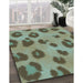Patterned Dark Sea Green Rug in Family Room, pat2974lblu