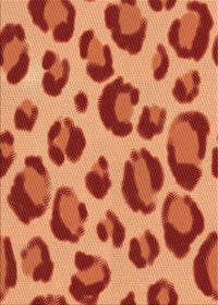 Machine Washable Transitional Orange Rug, wshpat2975org