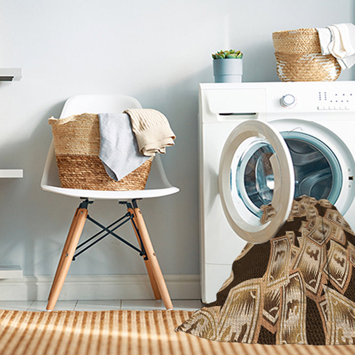 Machine Washable Transitional Red Brown Rug in a Washing Machine, wshpat2976org