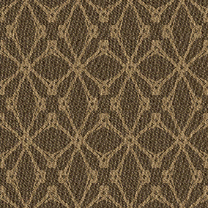 Machine Washable Transitional Light Brown Rug, wshpat2981brn