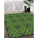 Patterned Green Novelty Rug in Family Room, pat2983