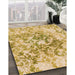 Machine Washable Transitional Cinnamon Brown Rug in a Family Room, wshpat2989org