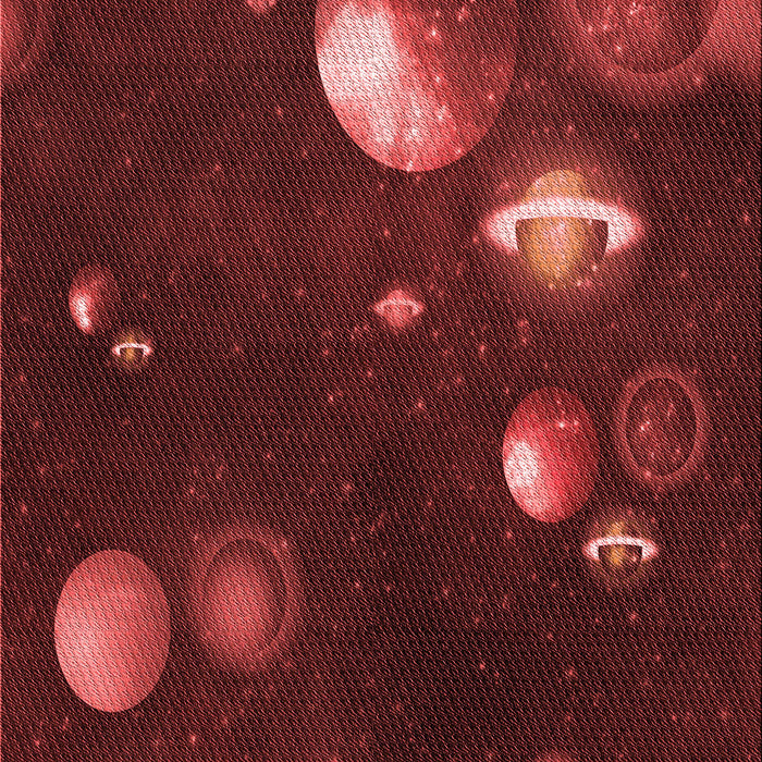 Patterned Maroon Red Rug, pat2992rd