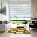 Square Patterned Saddle Brown Rug in a Living Room, pat2993yw