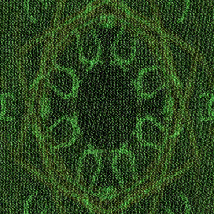 Patterned Green Rug, pat2996grn