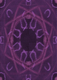 Machine Washable Transitional Dark Purple Rug, wshpat2996pur