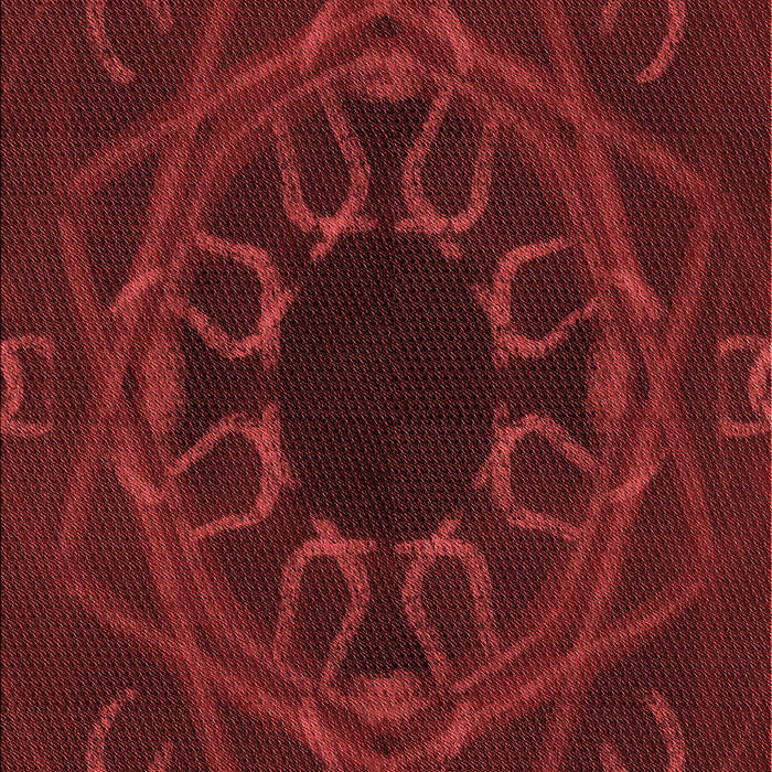 Patterned Maroon Red Rug, pat2996rd