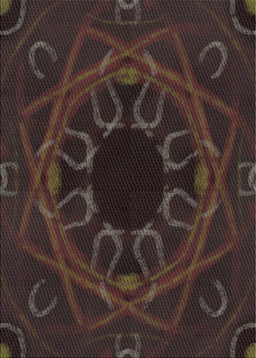 Machine Washable Transitional Black Brown Rug, wshpat2996