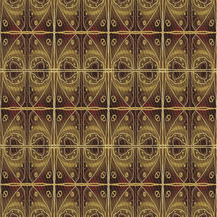 Machine Washable Transitional Night Red Rug, wshpat2998brn