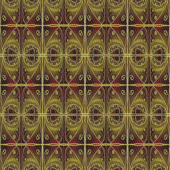 Machine Washable Transitional Caramel Brown Rug, wshpat2998