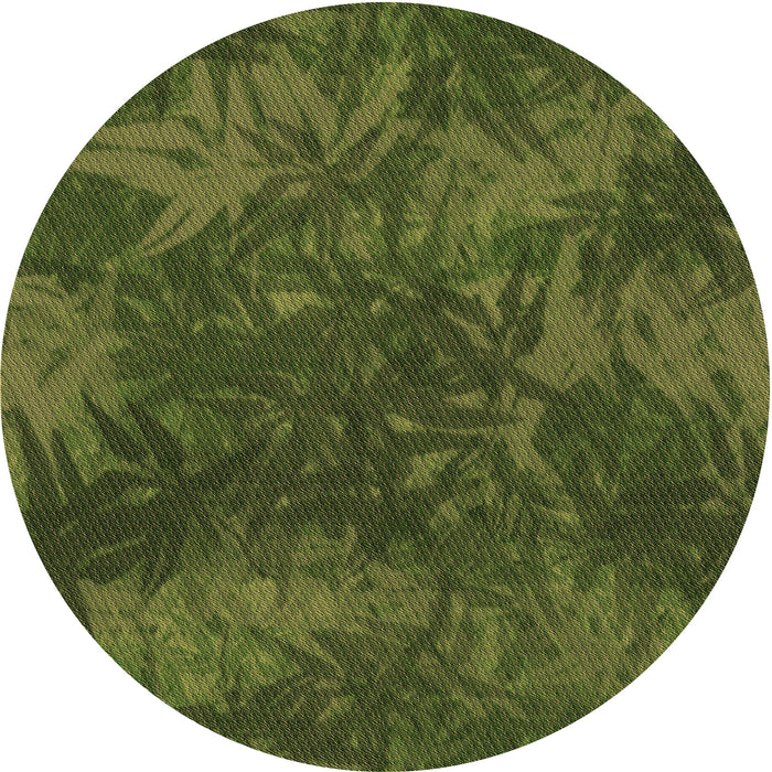 Square Machine Washable Transitional Dark Forest Green Rug in a Living Room, wshpat3011brn
