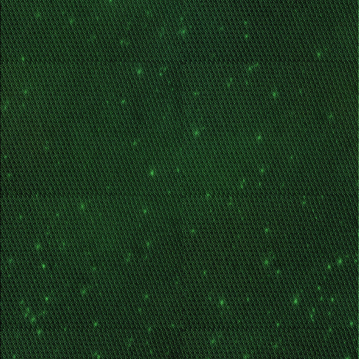 Machine Washable Transitional Deep Emerald Green Rug, wshpat3013grn