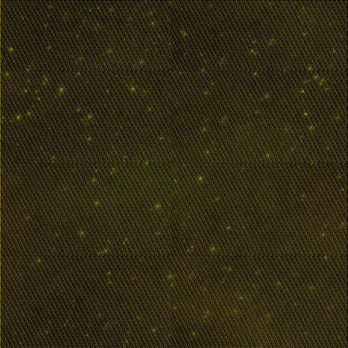 Round Machine Washable Transitional Black Rug, wshpat3013yw