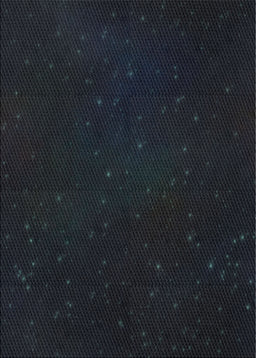 Machine Washable Transitional Black Rug, wshpat3013