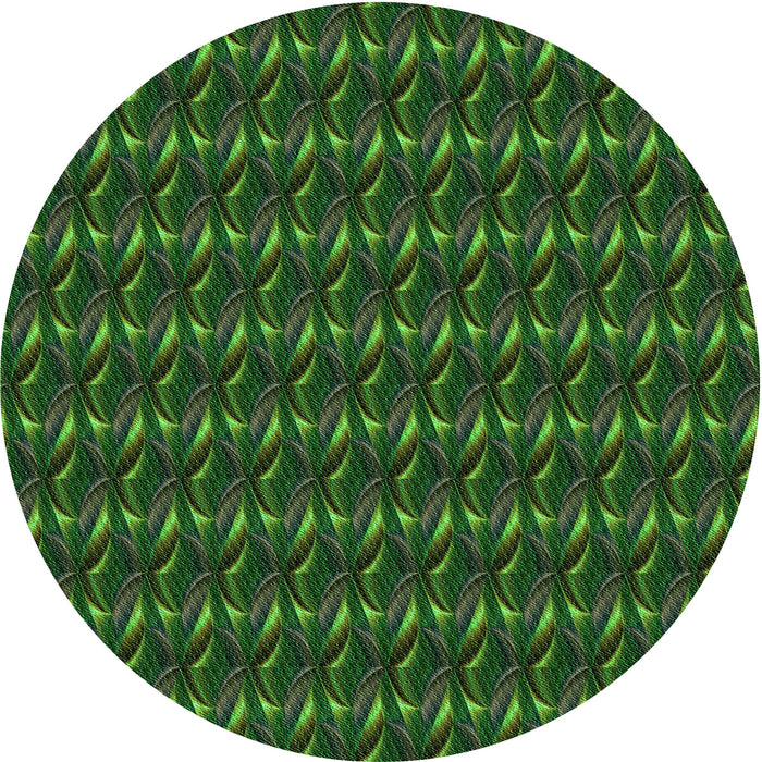 Square Machine Washable Transitional Dark Lime Green Rug in a Living Room, wshpat3018grn