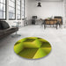 Round Patterned Green Rug in a Office, pat3025yw