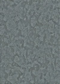 Machine Washable Transitional Gunmetal Gray Rug, wshpat3026