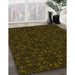 Machine Washable Transitional Dark Bronze Brown Rug in a Family Room, wshpat3038yw