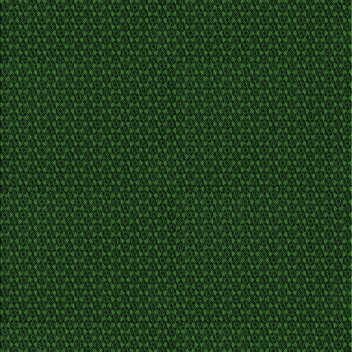 Machine Washable Transitional Green Rug, wshpat3039grn