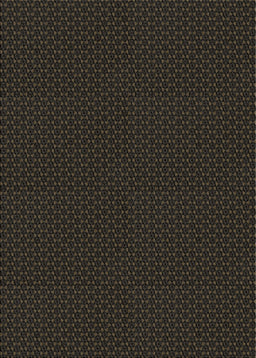 Patterned Black Novelty Rug, pat3039