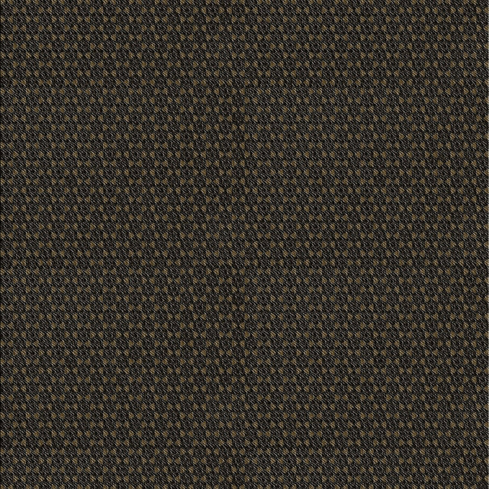 Patterned Black Novelty Rug, pat3039