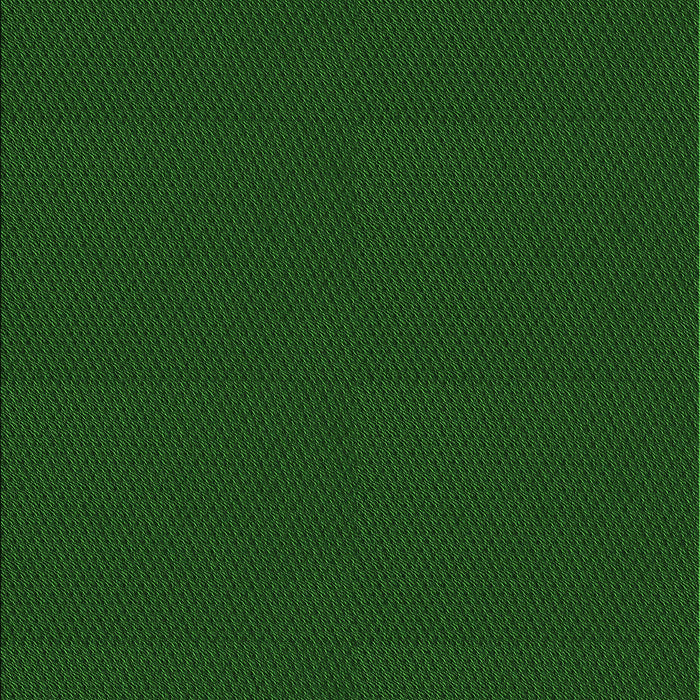 Machine Washable Transitional Green Rug, wshpat3041grn