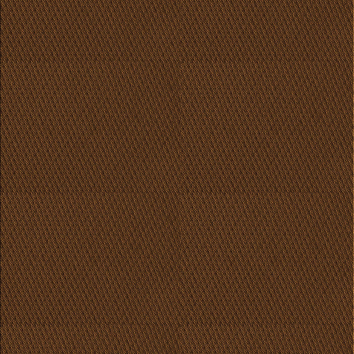 Machine Washable Transitional Saddle Brown Rug, wshpat3041org