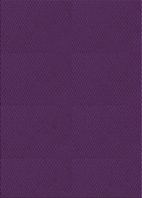 Machine Washable Transitional Dark Orchid Purple Rug, wshpat3041pur